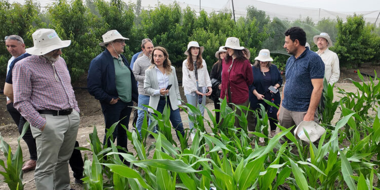 PepsiCo Türkiye’den Suya Hayat Veren Proje: “Bir Damla Bir Dünya”