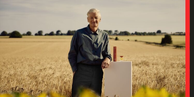 Dyson Omega™ Saç Bakım Serisi Türkiye’ye Geliyor