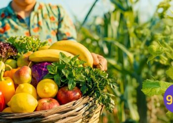 Tarladan Sofraya Nereden Bu Tazelik? GetirBüyük’ten!