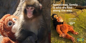 IKEA, Maymun Punch’a Anne Oldu