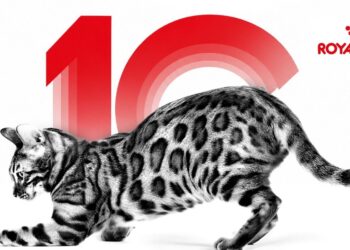 Royal Canin Türkiye 6,4 Milyon Patiyle 10. Yaşını Kutluyor