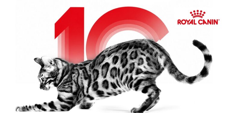 Royal Canin Türkiye 6,4 Milyon Patiyle 10. Yaşını Kutluyor