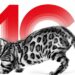 Royal Canin Türkiye 6,4 Milyon Patiyle 10. Yaşını Kutluyor