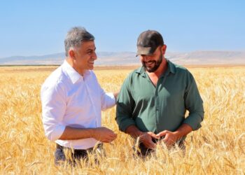 Kuraklığa Dayanıklı Buğdayın İlk Hasatı ETİ’den