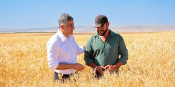 Kuraklığa Dayanıklı Buğdayın İlk Hasatı ETİ’den